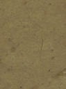 Vegetable Dyed Lotka - Aspen