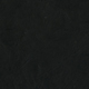 Black Lotka Paper