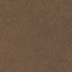 Earth Spice Lotka Paper