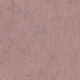 Rose Lotka Paper