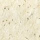 plantable seeded lotka paper