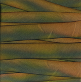 Earth Silk Dyed Ribbon