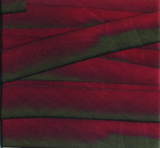 Earth Silk Dyed Ribbon