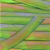 Earth Silk Dyed Ribbon