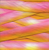 Earth Silk Dyed Ribbon