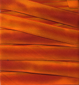 Earth Silk Dyed Ribbon