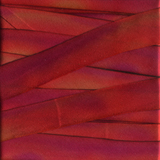 Earth Silk Dyed Ribbon