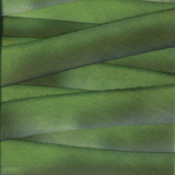 Earth Silk Dyed Ribbon