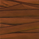 Earth Silk Dyed Ribbon