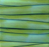 Earth Silk Dyed Ribbon