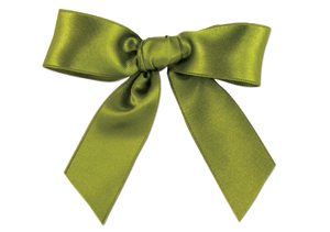 Embossed-Edge&nbsp;Double Face Satin