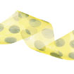 Lemon with Black Dots