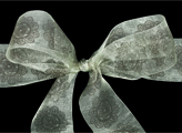 Icon on Organdy Ribbon