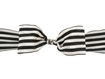 Midori Ascot Ribbon
