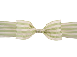 Midori Acot Ribbon