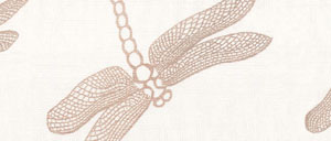 Dragonflies