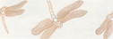 Dragonflies