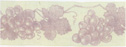 Grapes - purple
