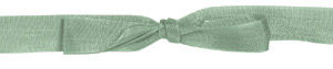 Eucalyptus - Rayon Trimming Ribbon