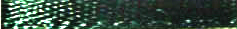 Forest Green Offray Ribbon