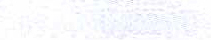 White Offray Ribbon