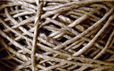 Eco-Twist Ribbon