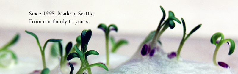 seed paper sprouting