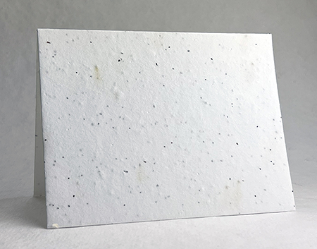 Cotton and Seeds Plantable Notecard