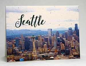seattle air view