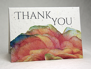Ranunculus Thank You Card