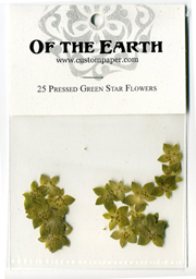 25 Green Star Pressed Flowers