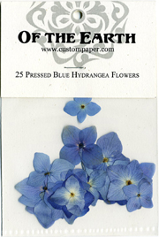 25 Blue Hydrangea Pressed Flowers