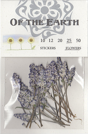 Irregulars Bulk Limited Series #12 Pressed Flower HAVE FUN