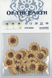 25 Multicaule Pressed Flowers