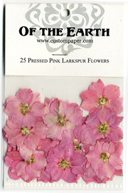 25 Pink Larkspur Pressed Flowers