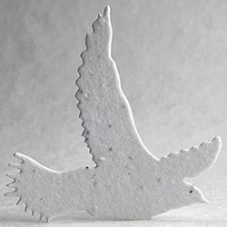 10s white seed paper bird shape