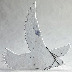 30s bachelor button seed paper bird shape