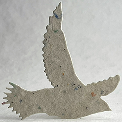 47s junk mail seed paper bird shape