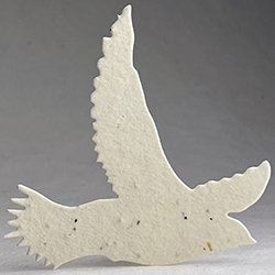 65s tan seed paper bird shape