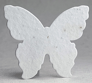 large 10s butterfly