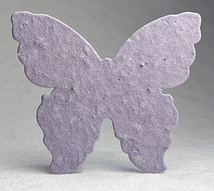 large 15s butterfly
