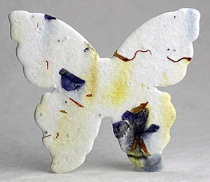 large 1s butterfly