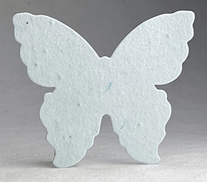 large 21s butterfly