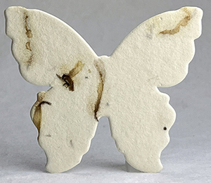 large 23s butterfly