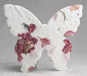 seed paper butterfly