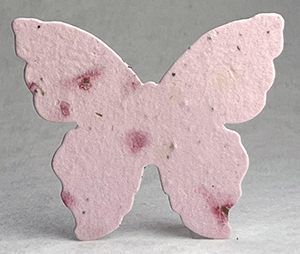 large 26s butterfly