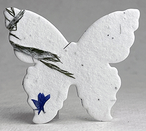 large 30s butterfly