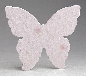 large 35s butterfly