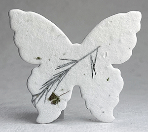 large 36s butterfly