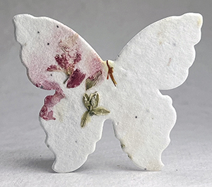 large 37s butterfly